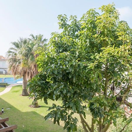 Residencial Marineu Palm Beach II Alcossebre Esterno foto